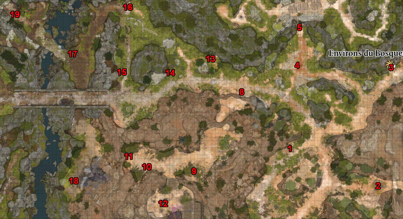 Carte complète de l'extérieur du Bosquet d'émeraude dans Baldur's Gate 3
