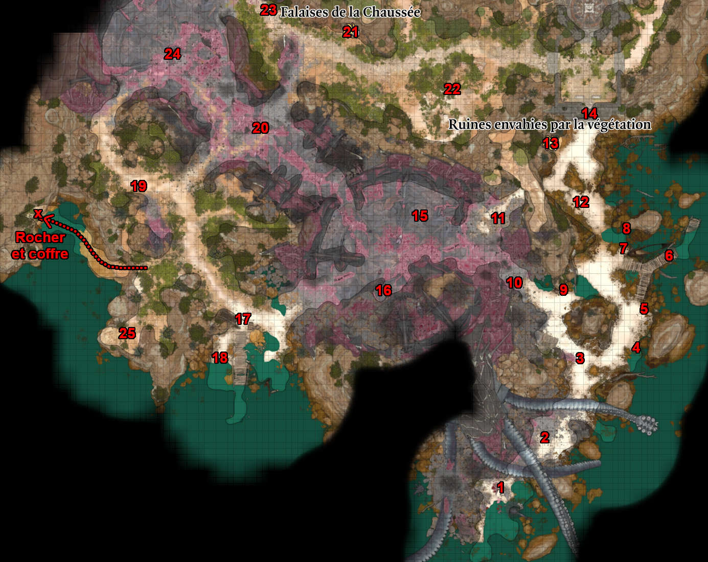Carte complète de la zone de la plage dévastée dans Baldur's Gate 3