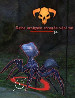 Tuer la reine araignée enragée - évènement dynamique