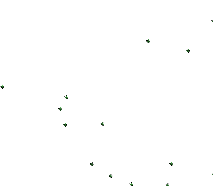 Vallée de l'Autel du Ruisseau - plantes