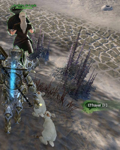 Aider Bjarni à honorer l'esprit de la Hase - mission de Guild Wars 2