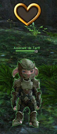 assistant de Tarff - marchand de Guild Wars 2