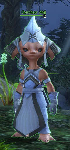Chercheur Ahjj - marchand de Guild Wars 2