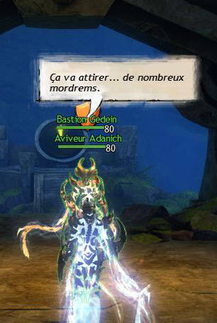 Guild Wars 2 (gw2) : Meta évènement Bassin Aurique Garde du Sud