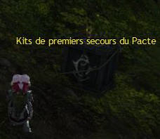 Guild Wars 2 (gw2) : Meta évènement Bassin Aurique Garde du Sud